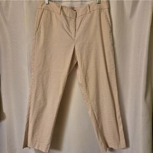 Ann Taylor Stripe Anckle Pants